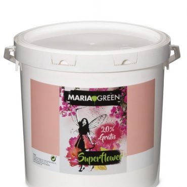 SUPERFLOWER - Imagen 2