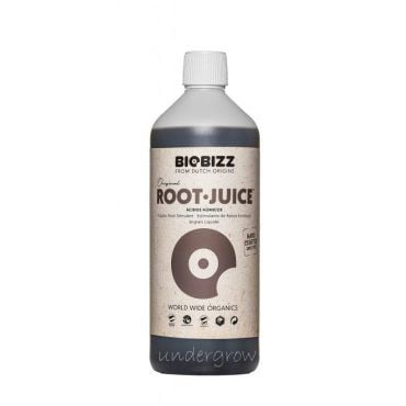 ROOT JUICE - Imagen 2