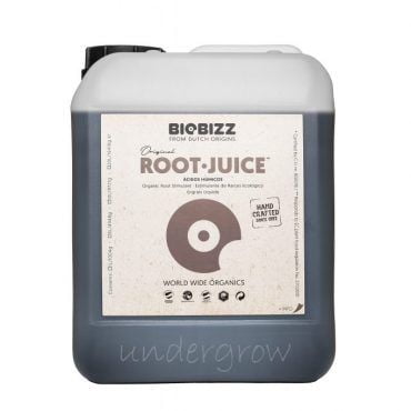 ROOT JUICE - Imagen 3