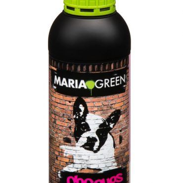 COGOLLOS - Imagen 2