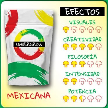trufas mágicas Psilocybe Mexicana