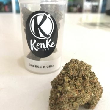 CHEESE KENKE CBD