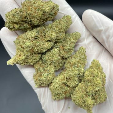 LIMONCELLO KENKE CBD