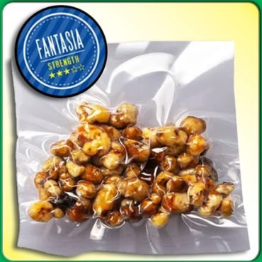 TRUFAS MAGICAS PSILOCYBE FANTASIA