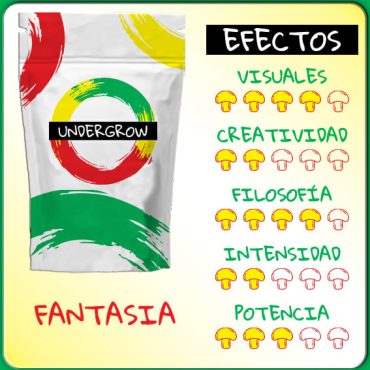 TRUFAS MAGICAS PSILOCYBE FANTASIA