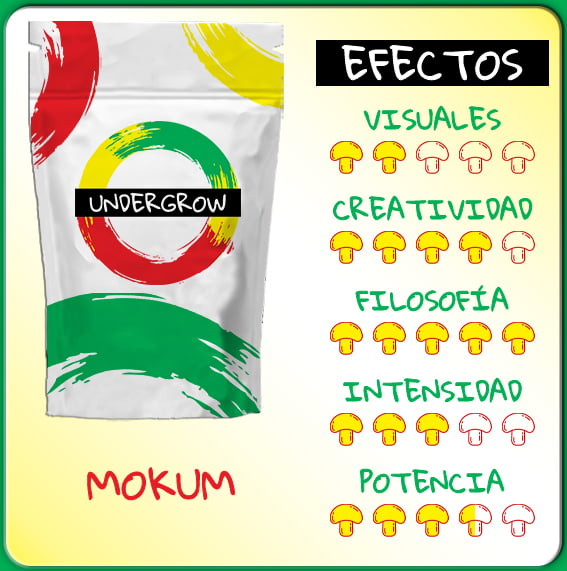 TRUFAS MAGICAS PSILOCYBE MOKUM