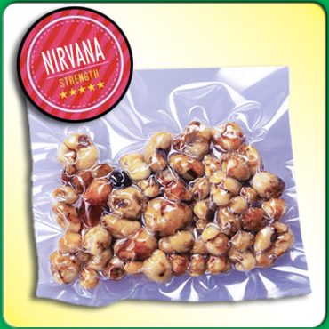 TRUFAS MAGICAS PSILOCYBE NIRVANA