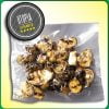 TRUFAS MAGICAS PSILOCYBE UTOPÍA