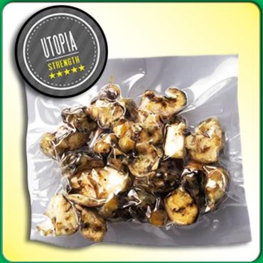 TRUFAS MAGICAS PSILOCYBE UTOPÍA