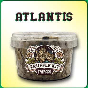 KIT DE TRUFAS MAGICAS ATLANTIS