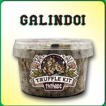 KIT DE TRUFAS MAGICAS GALINDOI