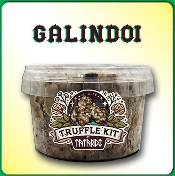 KIT DE TRUFAS MAGICAS GALINDOI
