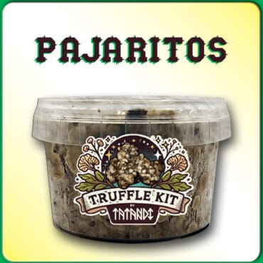 KIT DE TRUFAS MAGICAS PAJARITOS