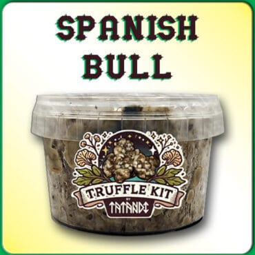 KIT DE TRUFAS MAGICAS SPANISH BULL
