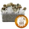 Kit de Setas Melmac Thrasher