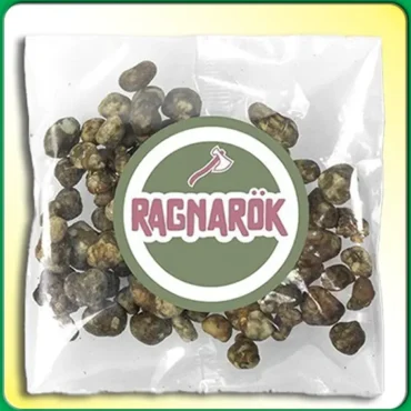 trufas mágicas Ragnarok