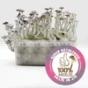 Kit de Setas Super Natalensis