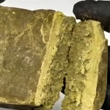 POLEN ZOMBIE KUSH 10-OH 1