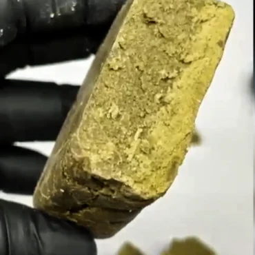 POLEN ZOMBIE KUSH 10-OH 1