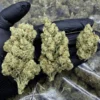 AMNESIA HYDRO OH10