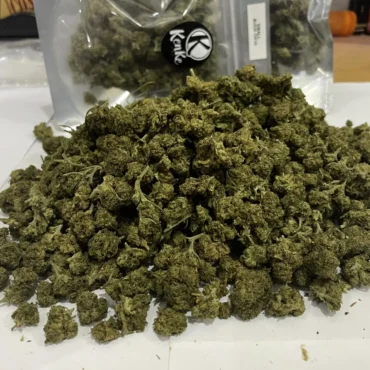 SMALL BUDS OH10 - Imagen 3