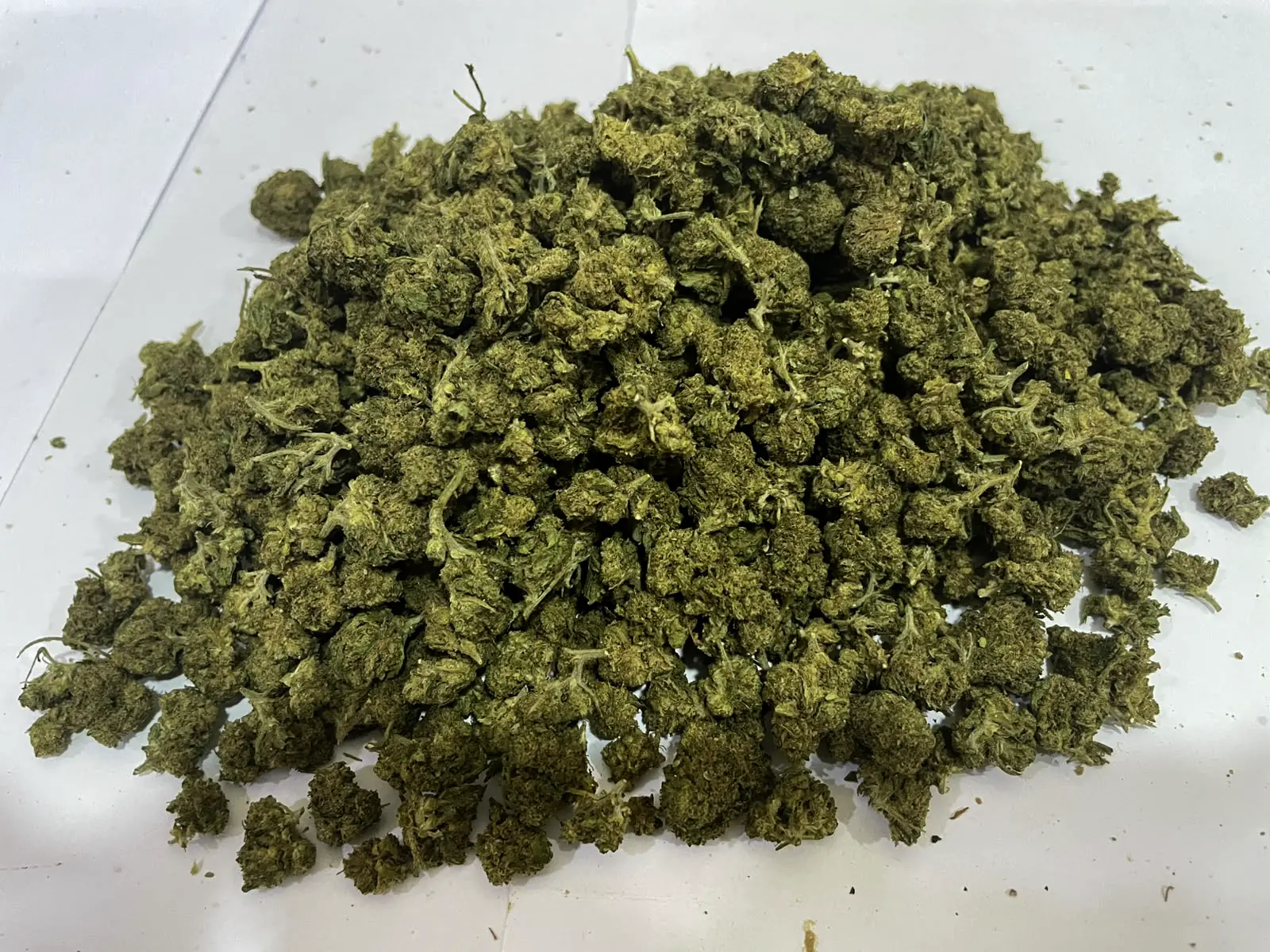 SMALL BUDS OH10 - Imagen 2